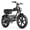Peak 1500W 48V/20Ah-CR21, variant on Bopzin Electric Bike for Adults, Peak 2000W App 48V/20Ah, 20"x4.0 Fat Tire Ebike, E-Mountain Bike with Anti-Theft Alarm