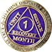 thumbnail image 3 of 1 Month AA Medallion Reflex Purple Gold Plated 30 Day Chip, 3 of 10