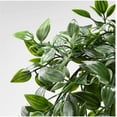 thumbnail image 3 of Planta artificial en maceta, interior/exterior, colgante, 3 of 4