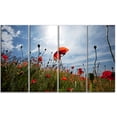 thumbnail image 2 of Poppy Vue de Champ de Fleurs depuis le Sol - Impression sur Toile Florale, 2 of 3