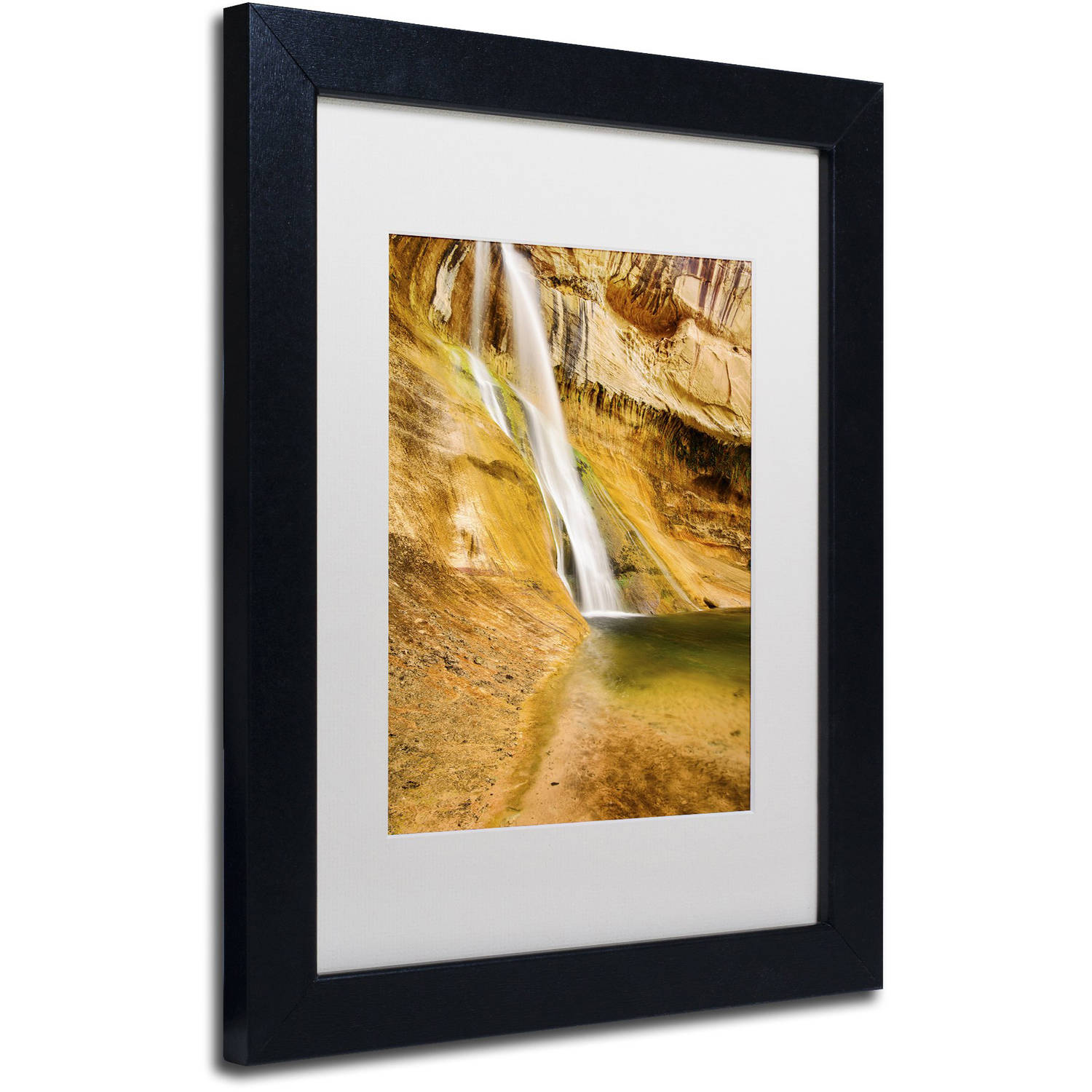 Trademark Fine Art "Desert Oasis" Canvas Art by Michael Blanchette Photography White Matte, Black Frame