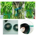 thumbnail image 3 of Ruban Adhésif Extensible pour Jardin Épais Robuste Outils de Jardinage, 3 of 6