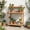 Teak, variant on DEAUL Potting Bench Table with 3-Tier Storage, Heavy Duty All-Weather Curved Edges Gardening Table for Patio Backyard Garden, Easy Assembly (Teak)