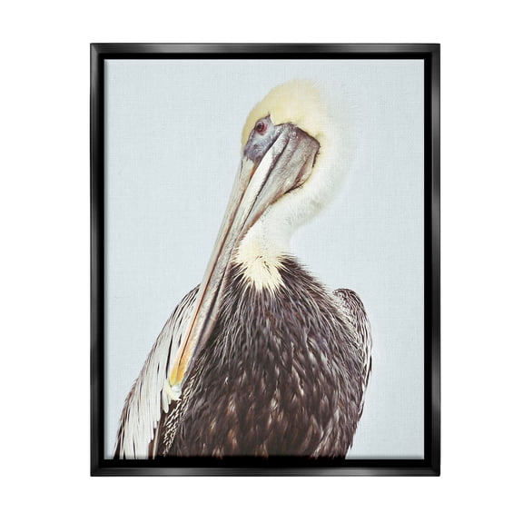 Stupell Industries Preening Pelican Photography Animals & Insects Painting Black Floater Framed Canvas Art Print Wall Art, 17 x 21