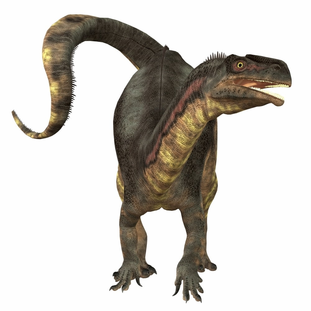 dinosaur that is a herbivore