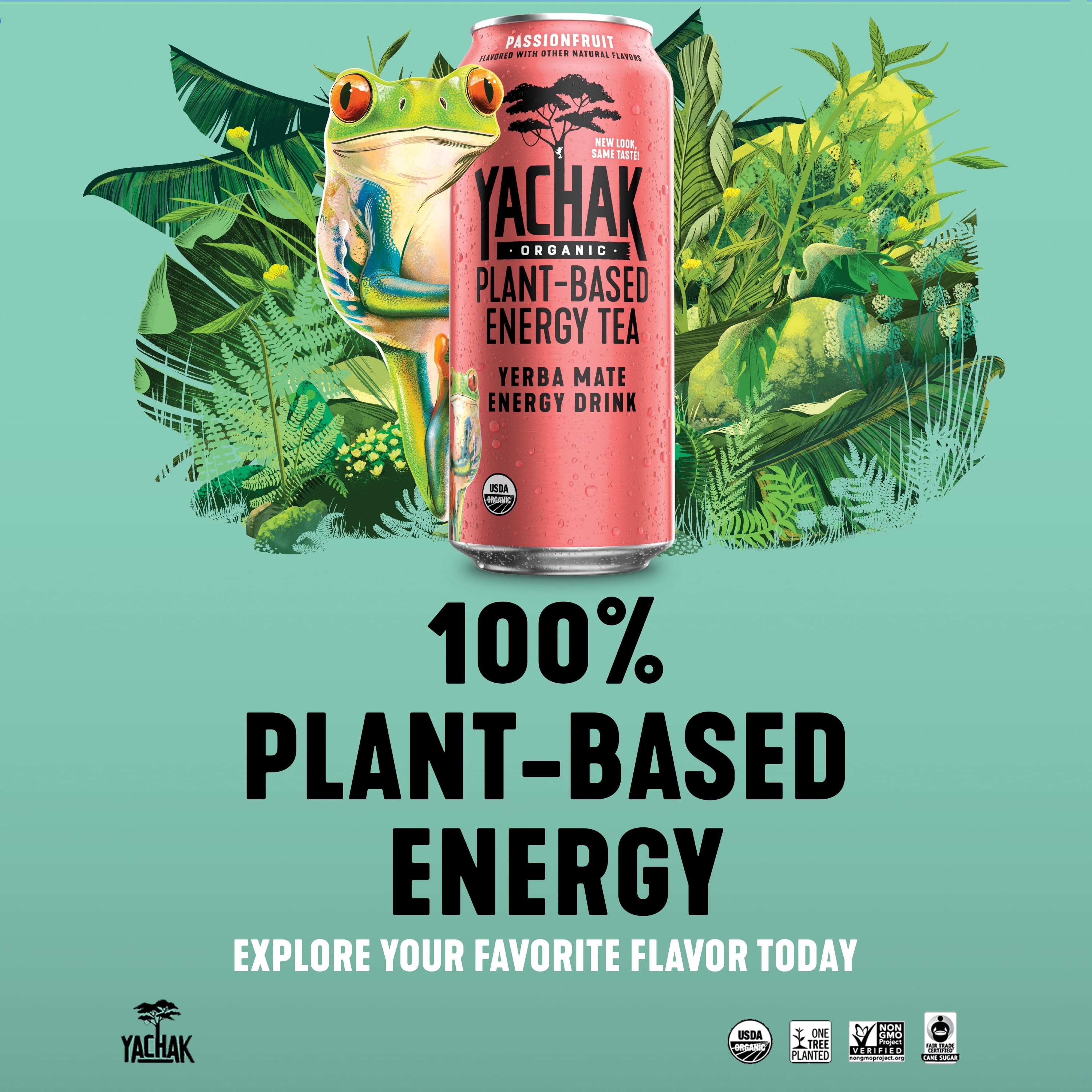Yachak Yerba Mate Drink, Passionfruit, 16 fl oz, 12 Pack Cans
