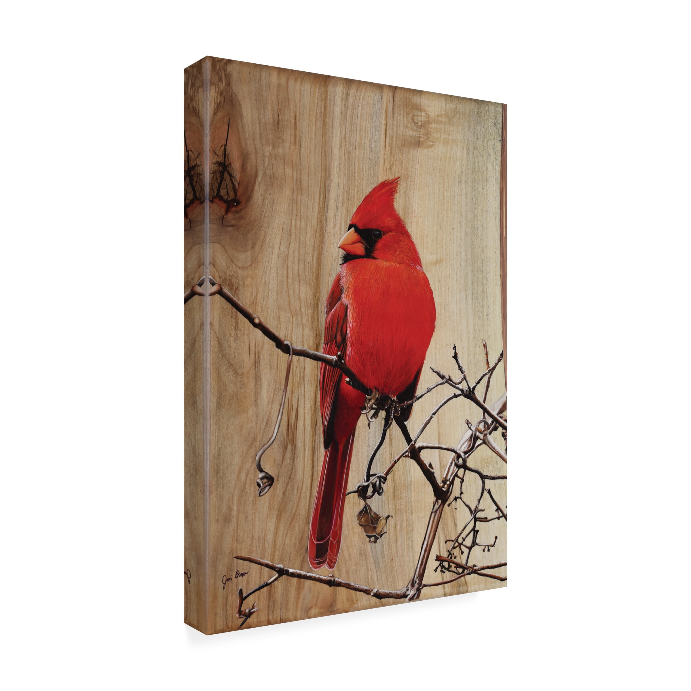 Canvas Wall Art - Jim Brune 'Regal Cardinal' Wall Art for Living Room, Bedroom, or Office DÃ©cor by Trademark Fine Art - 12 x 19 Inches