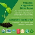 thumbnail image 4 of Garden of Life Probiotics with Prebiotics, Postbiotics, D3 & Zinc - 30 Day Immune Support for Gut & Digestive Health, 4 of 9