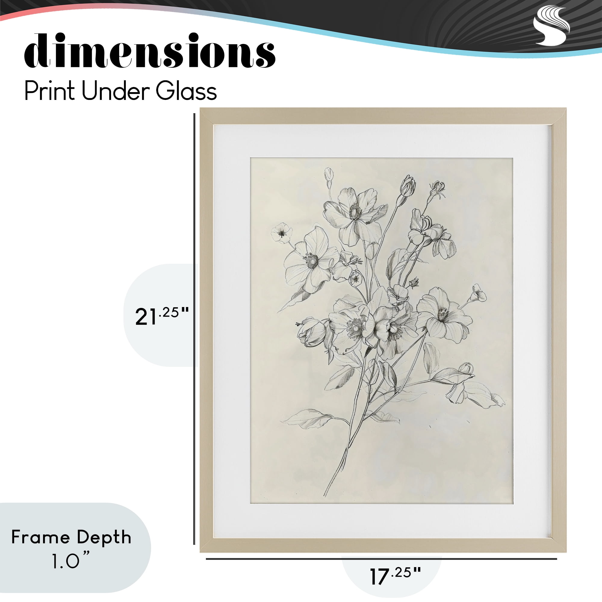 Stupell Industries Wildflower Outline Study Birch Framed Print Under Glass, design by Creative Studio