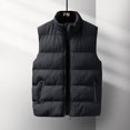 thumbnail image 2 of Chaleco de algodón de plumón para hombre de otoño e invierno, abrigo cálido con cuello grande y moda de Europa y Estados Unidos, 2 of 5