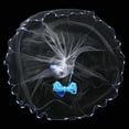 thumbnail image 6 of Pro Cast Net Fishing Mesh Saltwater Bait Drawstring Catch,6ft/8ft/12ft/16ft, 6 of 11