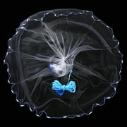 Pro Cast Net Fishing Mesh Saltwater Bait Drawstring Catch, 6ft/8ft/12ft/16ft