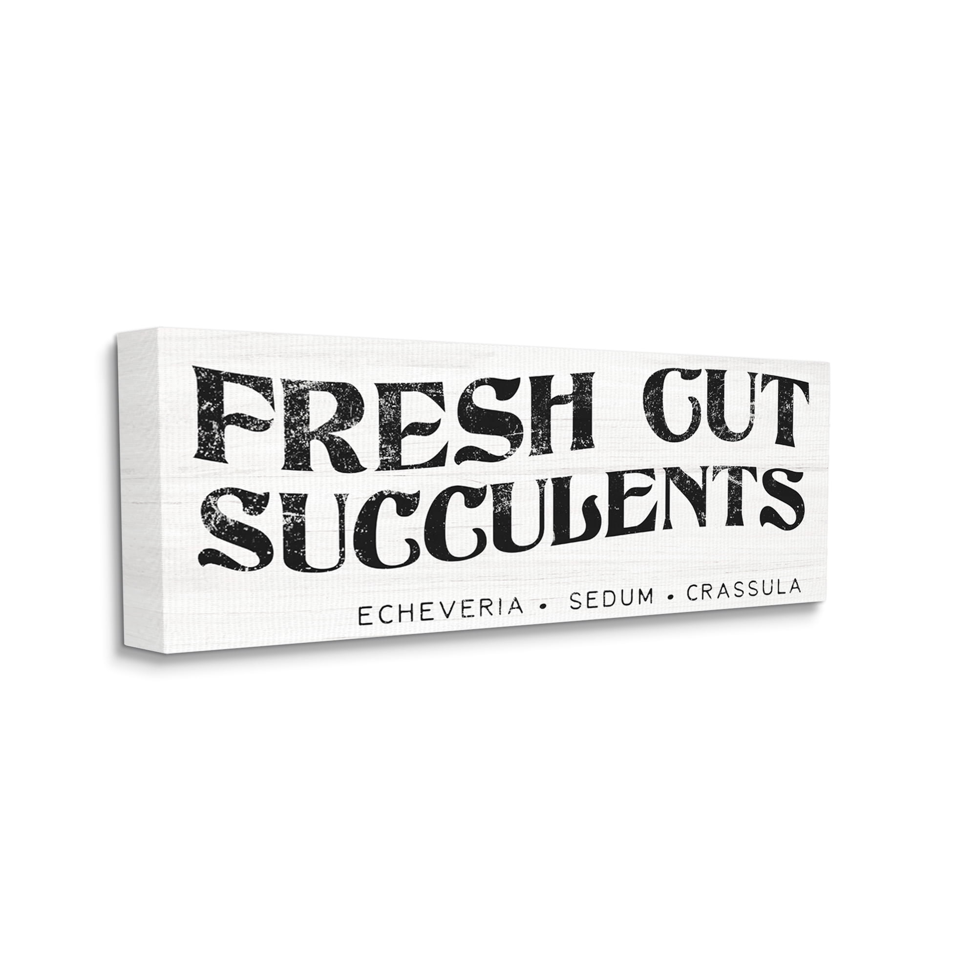 Stupell Industries Fresh Cut Succulents Antique Style Grainy Sign Graphic Art Gallery Wrapped Canvas Print Wall Art, Design by Daphne Polselli