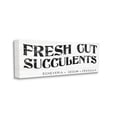 thumbnail image 3 of Stupell Industries Fresh Cut Succulents Antique Style Grainy Sign Graphic Art Gallery Wrapped Canvas Print Wall Art, Design by Daphne Polselli, 3 of 7
