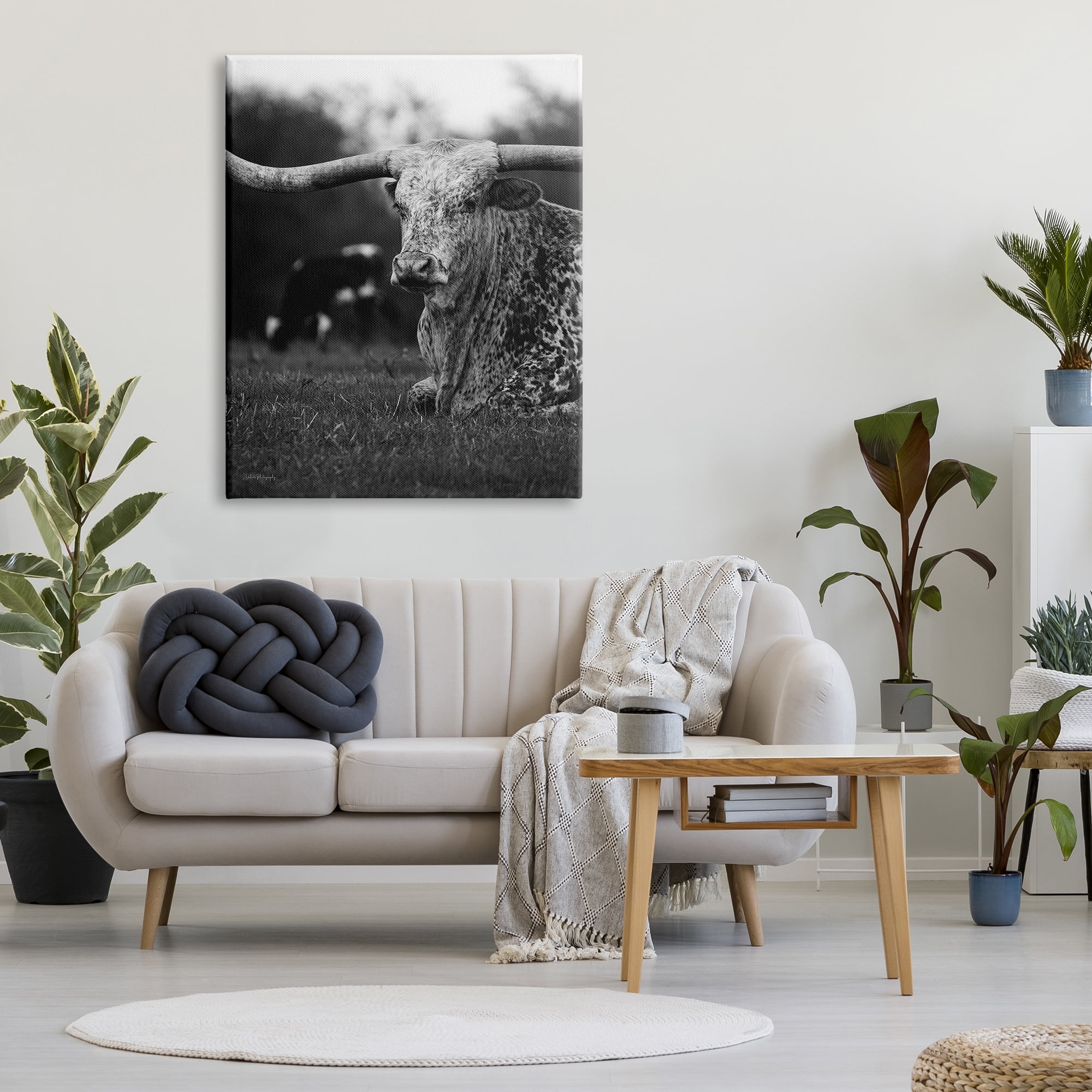 Stupell Industries Resting Longhorn Photography Animals & Insects Photography Gallery Wrapped Canvas Art Print Wall Art, 36 x 48