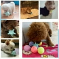 thumbnail image 5 of Paquete de 6 pelotas para perros, juguete para perros, pelota para aplastar, juguete para perros con chirrido, pelota para masticar indestructible y duradera para perros, 5 of 5