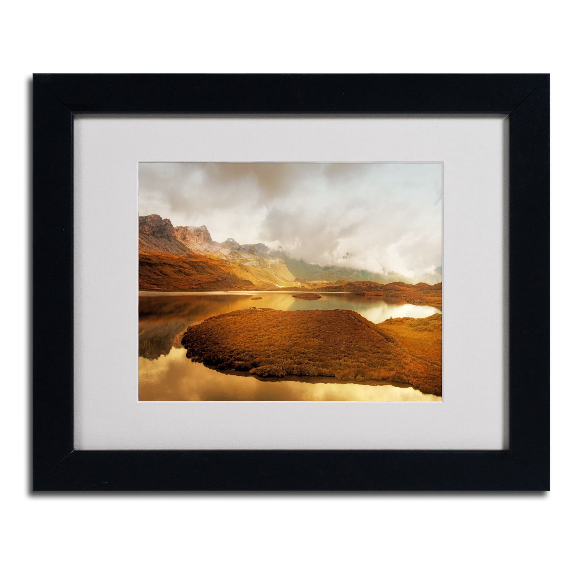 Trademark Fine Art "Shades of Gold" Canvas Art by Philippe Sainte-Laudy, Black Frame