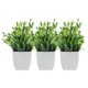 thumbnail image 1 of FESTFENDS 3Ud Plantas Artificiales Pequeñas Con Maceta Para Decorar Interiores Estilo Rústico Y Oficina, 1 of 6