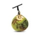 thumbnail image 2 of Abridor de cocos, cuchillo de acero inoxidable para cocos jóvenes y frescos., 2 of 5