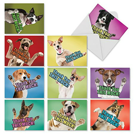 'M2369TYG DOG BIG THANKS' 10 Assorted Thank You Notecards Featuring Adorable and Loving Dogs Offering to Give You a Hug with Envelopes by The Best Card