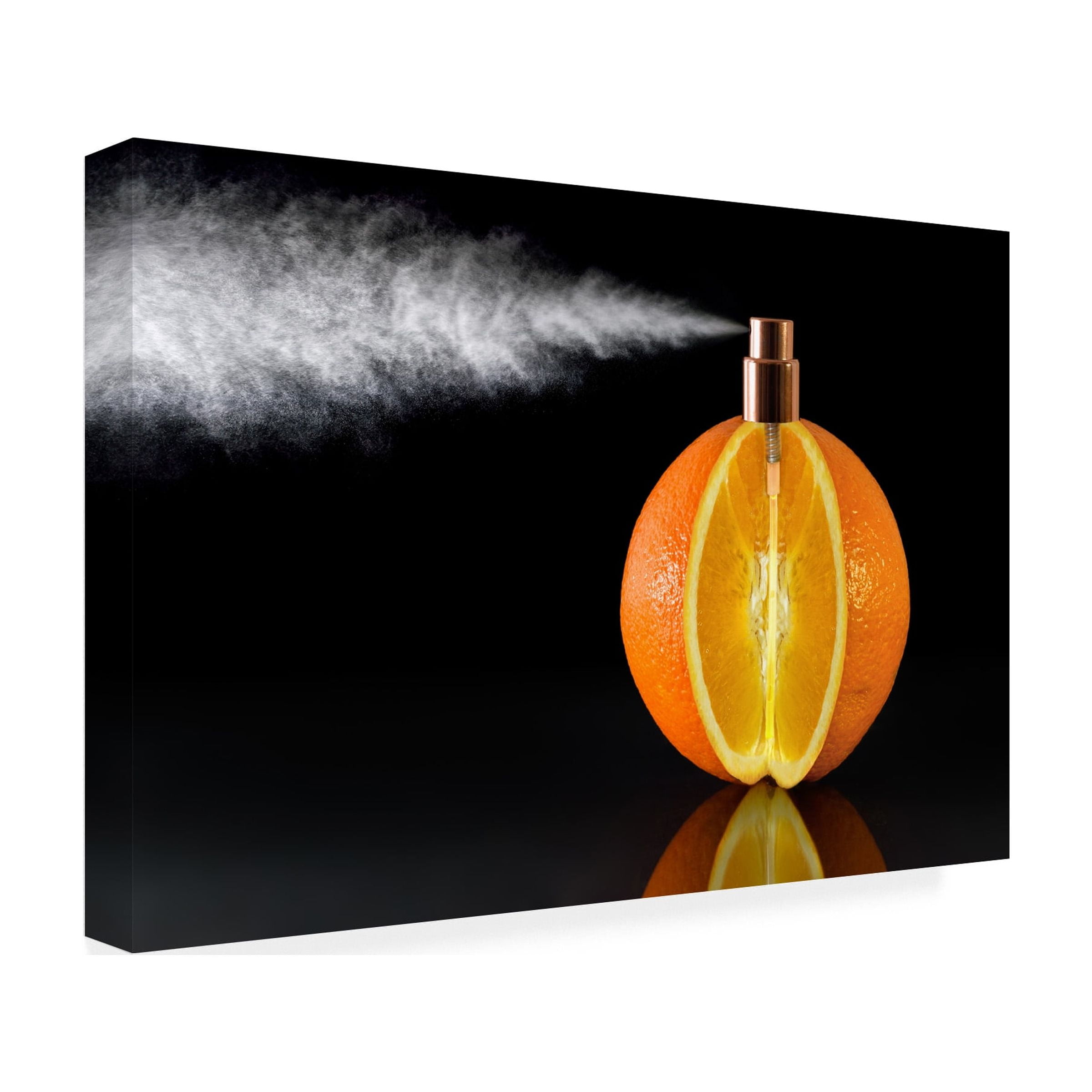 Jesus M Garcia 'Natural Perfum' Canvas Art