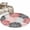 Pink Red Grey, variant on Pink Blue Grey Sunflowers Area Rugs 2.7'x5', Washable Small Throw Rugs for Kitchen Bedroom, Boho Retro Floral Rustic Blossom Indoor Outdoor Rug Non-Slip Low Pile Carpet Runner Reversible Floor Mats