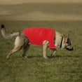 thumbnail image 4 of CICRKHB Dog Vest Dog Cat Pet Vest Cute Style Summer Breathable Leisure Pet Thin Clothing Pet Supplies Red, 4 of 4
