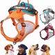 thumbnail image 1 of Pecheras Para Perro Pechera Arnés De Regulable Transpirable, 1 of 4
