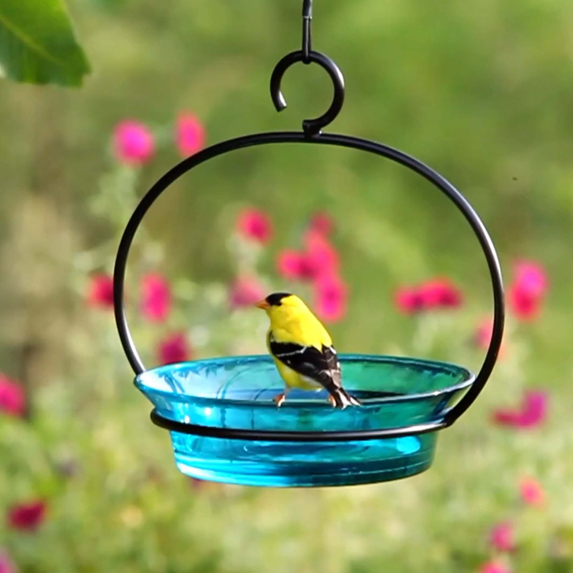 Mosaic Birds Recycled Glass & Metal Cuban Hanging Bird Bath Bowl - Bird Feeders for Outdoors - Lawn Décor - Aqua Blue