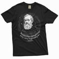 thumbnail image 3 of Funny Galileo Tee Thunderbolt and Lightning Shirt Galileo Very Frightening Me T-Shirt (Medium Grey), 3 of 7