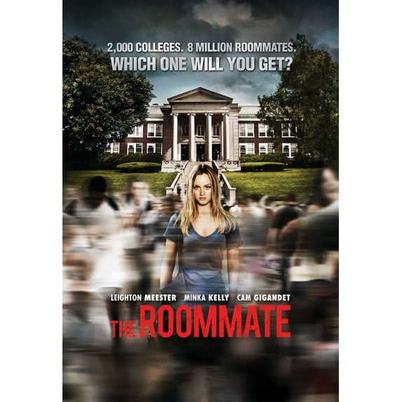 Roommate The Poster 27inx40in for any room 27x40 Multi-Color Square Adults Best Posters