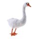 thumbnail image 5 of ración Artificial Simulado Cisne to Arte Estatuilla Exhibición #1 1 Cola Cisne simulado, 5 of 7