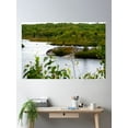 thumbnail image 2 of Off The Beaten Path - Forest Poster Wall Art, Modern Wall Decor, 24x36 UNFRAMED, 2 of 3