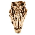 thumbnail image 5 of UDIYO Individuality Unique Resin Dinosaurs Skull Model for Indoor, 5 of 7
