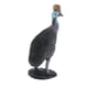 thumbnail image 3 of 2x Acción de modelo animal estático Sunnimix Figuras de acción de vida silvestre, 3 of 8