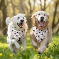 thumbnail image 3 of Dog Bandana 2 Pack,White Cow Dot Pattern Bandanas for Dogs,Cat Bandana,Small/ Large Dog Bandana 2 Size,Dog Bandanas Girl Boy, 3 of 5