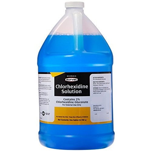 chlorhexidine solution for dogs paws