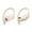 Ivory, variant on Restored Beats by Dr. Dre Powerbeats Pro Bluetooth True Wireless Headphones with Charging Case, Moss, MV712LL/A (Refurbished)