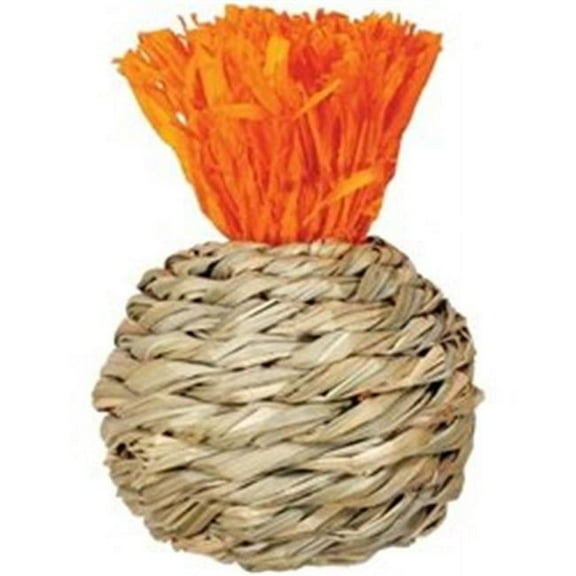 Prevue Pet Products Grassy Nibblers Squash - 1080