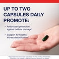 thumbnail image 2 of Metagenics Renagen DTX - Healthy Kidney Detoxification* - For Heart Health* - With Vitamin B6, Folate, Vitamin B12 & Cordyceps - Nutritional Supplement - Non-GMO - Gluten-Free - 60 Capsules, 2 of 7
