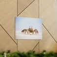 thumbnail image 6 of Majestic Crab Art Majestic Crab Print Animal Wall Art Wildlife Canvas Prints Wall Art Ready to Hang Unframed, 6 of 18