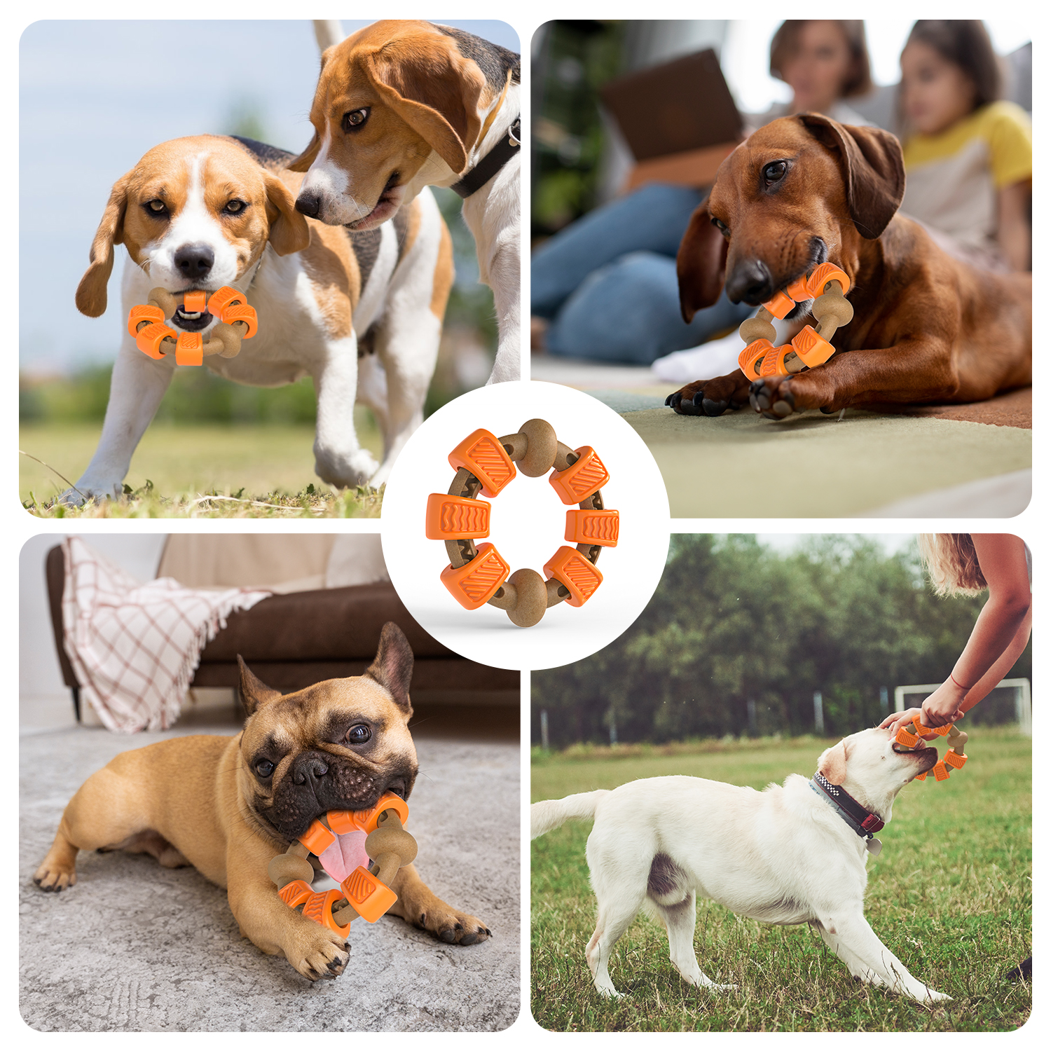 Charkool Indestructible Dog Chew Toy, Flavor Medley photo 7
