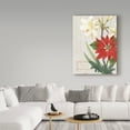 thumbnail image 3 of Trademark Fine Art 'Joyful Tidings II on Wood' Canvas Art by Sue Schlabach, 3 of 3