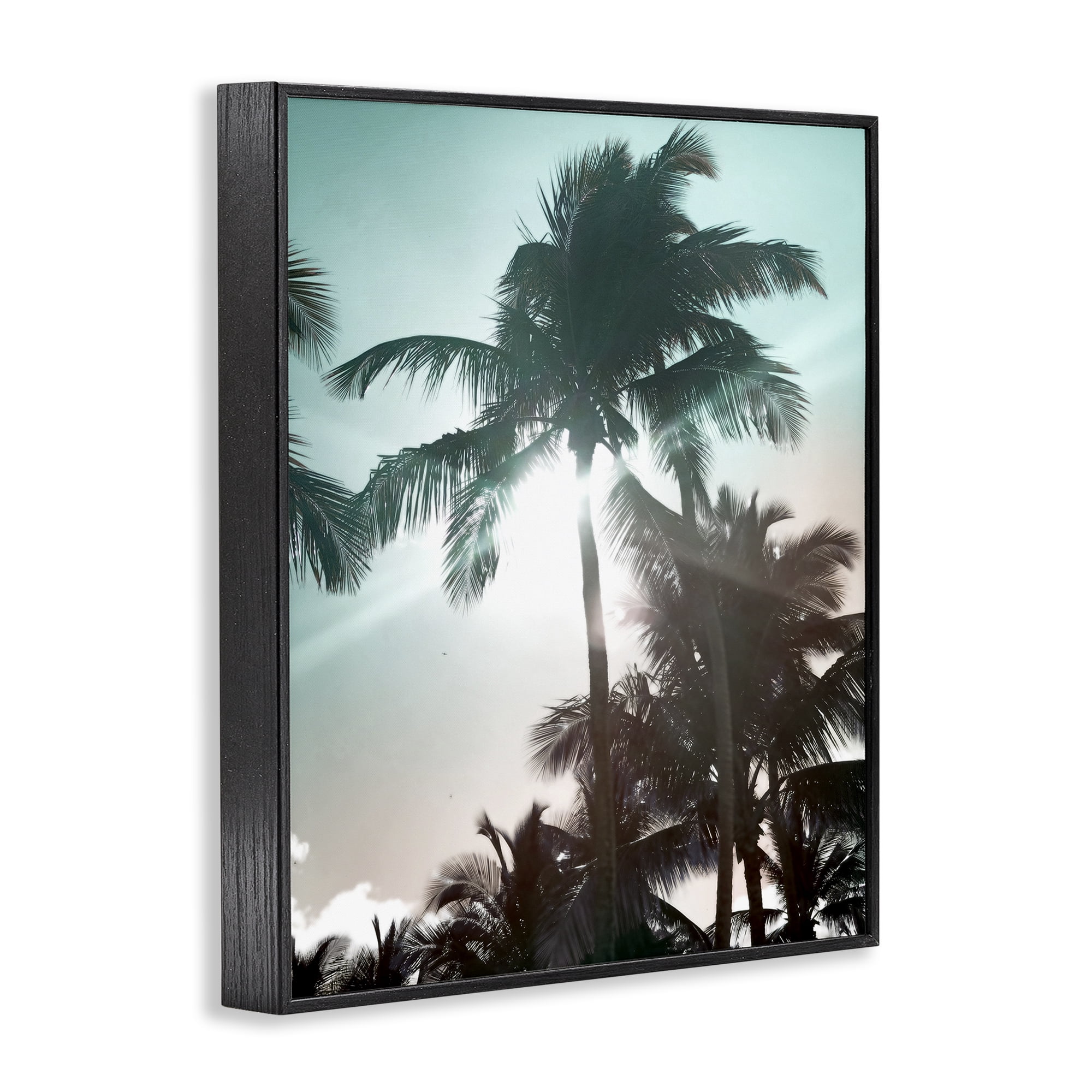Stupell Industries Shady Palm Trees Coastal Photography Black Framed Art Print Wall Art, 11 x 14