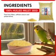 thumbnail image 6 of Morning Bird Hulled Millet 9 lbs – Nutritious Hulled Millet Seed, Easily Digestible with High Fiber, Rich in Vitamins and Supplements for Birds, Ideal Bird Feed for All Bird Types., 6 of 6