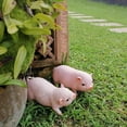 thumbnail image 5 of Garden Ornaments, Garden Statue Baby Pig Decorative, Cute Pig Garden Statue Resin Lawn Ornaments, Durable Farmhouse Animal Sculpture Art Decoration for Home Outdoor Decor, 5 of 8