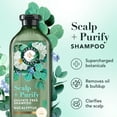 thumbnail image 3 of Herbal Essences Scalp + Purify Eucalyptus Sulfate-Free Shampoo, 13.5 fl oz, 3 of 12