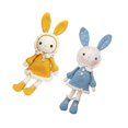thumbnail image 1 of Baohd Kit de Crochet Fait Main pour Débutant Mignon Rabbits Apprendre à Crochet Bleu et Jaune, 1 of 6