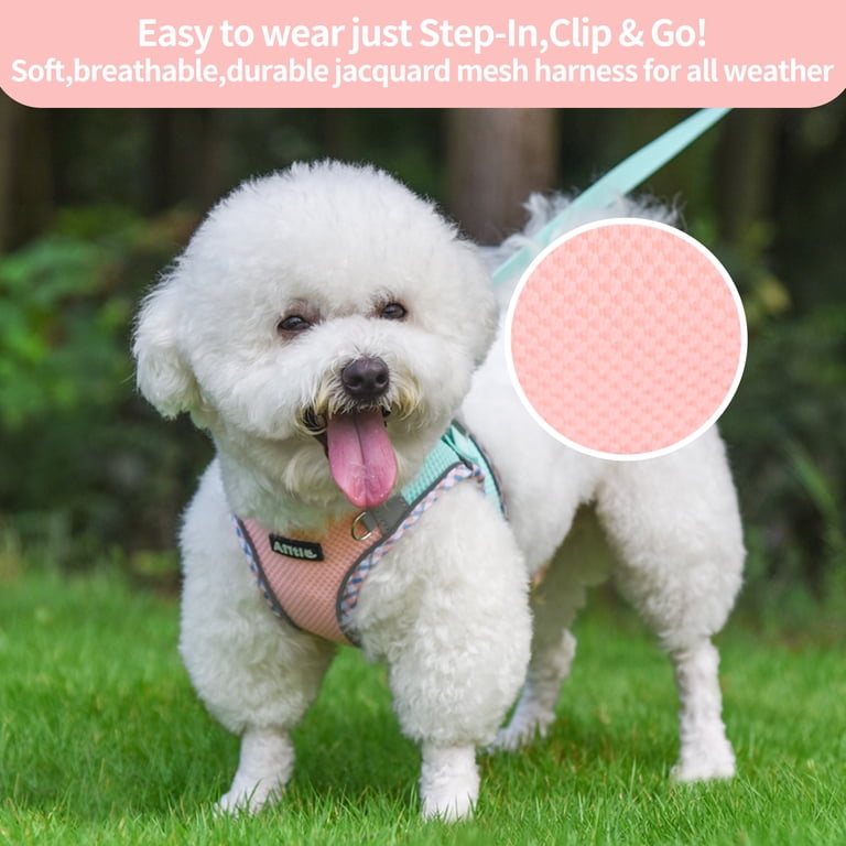 AIITLE Escape-Proof Dog Harness with Leash, Medium, Turquoise-Pink photo 6