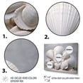 thumbnail image 3 of Designart " White Seashells" Animals Floater Framed Canvas Print, 3 of 7